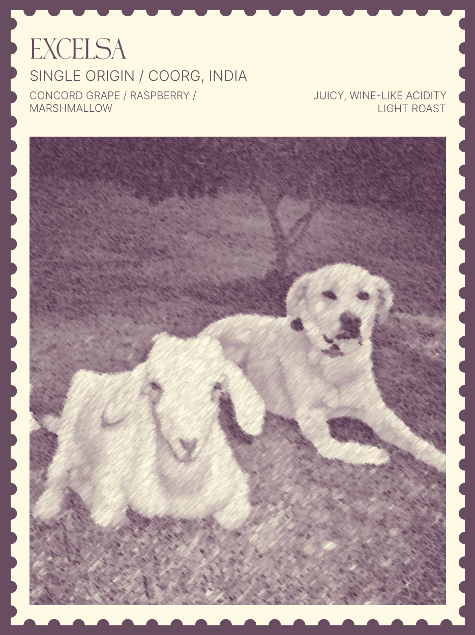 Coffee / Excelsa
